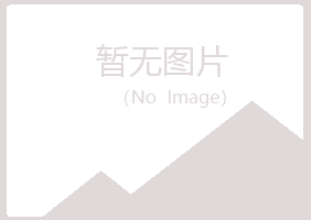 兰山区平淡能源有限公司